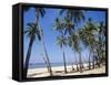 Palm Fringed Beach, Goa, India-Michelle Garrett-Framed Stretched Canvas
