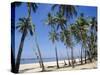 Palm Fringed Beach, Goa, India-Michelle Garrett-Stretched Canvas