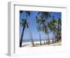 Palm Fringed Beach, Goa, India-Michelle Garrett-Framed Photographic Print