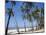 Palm Fringed Beach, Goa, India-Michelle Garrett-Mounted Photographic Print