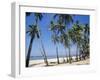 Palm Fringed Beach, Goa, India-Michelle Garrett-Framed Photographic Print