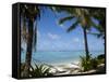 Palm Fringed Beaches, Cook Islands, South Pacific, Pacific-DeFreitas Michael-Framed Stretched Canvas