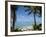 Palm Fringed Beaches, Cook Islands, South Pacific, Pacific-DeFreitas Michael-Framed Photographic Print