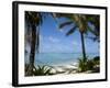 Palm Fringed Beaches, Cook Islands, South Pacific, Pacific-DeFreitas Michael-Framed Photographic Print