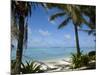 Palm Fringed Beaches, Cook Islands, South Pacific, Pacific-DeFreitas Michael-Mounted Photographic Print