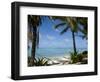 Palm Fringed Beaches, Cook Islands, South Pacific, Pacific-DeFreitas Michael-Framed Photographic Print