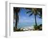 Palm Fringed Beaches, Cook Islands, South Pacific, Pacific-DeFreitas Michael-Framed Photographic Print