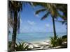 Palm Fringed Beaches, Cook Islands, South Pacific, Pacific-DeFreitas Michael-Mounted Photographic Print