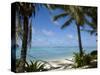 Palm Fringed Beaches, Cook Islands, South Pacific, Pacific-DeFreitas Michael-Stretched Canvas