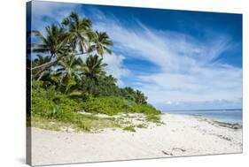 Palm Fringed Kolovai Beach, Tongatapu, Tonga, South Pacific, Pacific-Michael Runkel-Stretched Canvas