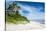 Palm Fringed Kolovai Beach, Tongatapu, Tonga, South Pacific, Pacific-Michael Runkel-Stretched Canvas