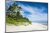 Palm Fringed Kolovai Beach, Tongatapu, Tonga, South Pacific, Pacific-Michael Runkel-Mounted Photographic Print