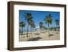 Palm fringed Marina beach, Kuwait City, Kuwait, Middle East-Michael Runkel-Framed Photographic Print