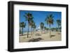 Palm fringed Marina beach, Kuwait City, Kuwait, Middle East-Michael Runkel-Framed Photographic Print