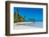 Palm fringed motu in the Blue Lagoon, Rangiroa atoll, Tuamotus, French Polynesia-Michael Runkel-Framed Photographic Print