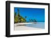 Palm fringed motu in the Blue Lagoon, Rangiroa atoll, Tuamotus, French Polynesia-Michael Runkel-Framed Photographic Print