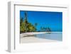 Palm fringed motu in the Blue Lagoon, Rangiroa atoll, Tuamotus, French Polynesia-Michael Runkel-Framed Photographic Print