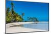 Palm fringed motu in the Blue Lagoon, Rangiroa atoll, Tuamotus, French Polynesia-Michael Runkel-Mounted Photographic Print