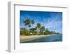 Palm Fringed White Sand Beach on an Islet of Vava'U, Tonga, South Pacific-Michael Runkel-Framed Photographic Print