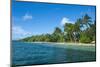 Palm Fringed White Sand Beach on an Islet of Vava'U, Tonga, South Pacific-Michael Runkel-Mounted Photographic Print