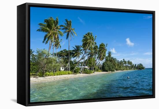 Palm Fringed White Sand Beach on an Islet of Vavau, Vavau Islands, Tonga, South Pacific, Pacific-Michael Runkel-Framed Stretched Canvas