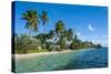 Palm Fringed White Sand Beach on an Islet of Vavau, Vavau Islands, Tonga, South Pacific, Pacific-Michael Runkel-Stretched Canvas