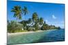 Palm Fringed White Sand Beach on an Islet of Vavau, Vavau Islands, Tonga, South Pacific, Pacific-Michael Runkel-Mounted Photographic Print