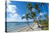 Palm Fringed White Sand Beach on an Islet of Vavau, Vavau Islands, Tonga, South Pacific, Pacific-Michael Runkel-Stretched Canvas