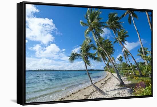 Palm Fringed White Sand Beach on an Islet of Vavau, Vavau Islands, Tonga, South Pacific, Pacific-Michael Runkel-Framed Stretched Canvas