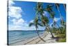 Palm Fringed White Sand Beach on an Islet of Vavau, Vavau Islands, Tonga, South Pacific, Pacific-Michael Runkel-Stretched Canvas