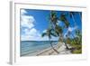 Palm Fringed White Sand Beach on an Islet of Vavau, Vavau Islands, Tonga, South Pacific, Pacific-Michael Runkel-Framed Photographic Print