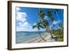 Palm Fringed White Sand Beach on an Islet of Vavau, Vavau Islands, Tonga, South Pacific, Pacific-Michael Runkel-Framed Photographic Print