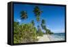 Palm Fringed White Sand Beach on an Islet of Vavau, Vavau Islands, Tonga, South Pacific, Pacific-Michael Runkel-Framed Stretched Canvas