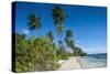 Palm Fringed White Sand Beach on an Islet of Vavau, Vavau Islands, Tonga, South Pacific, Pacific-Michael Runkel-Stretched Canvas