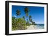 Palm Fringed White Sand Beach on an Islet of Vavau, Vavau Islands, Tonga, South Pacific, Pacific-Michael Runkel-Framed Photographic Print