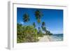 Palm Fringed White Sand Beach on an Islet of Vavau, Vavau Islands, Tonga, South Pacific, Pacific-Michael Runkel-Framed Photographic Print