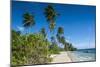 Palm Fringed White Sand Beach on an Islet of Vavau, Vavau Islands, Tonga, South Pacific, Pacific-Michael Runkel-Mounted Photographic Print