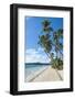 Palm Fringed White Sand Beach on an Islet of Vavau, Vavau Islands, Tonga, South Pacific, Pacific-Michael Runkel-Framed Photographic Print