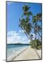 Palm Fringed White Sand Beach on an Islet of Vavau, Vavau Islands, Tonga, South Pacific, Pacific-Michael Runkel-Mounted Photographic Print