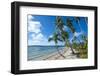 Palm Fringed White Sand Beach on an Islet of Vavau, Vavau Islands, Tonga, South Pacific, Pacific-Michael Runkel-Framed Photographic Print