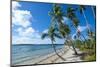 Palm Fringed White Sand Beach on an Islet of Vavau, Vavau Islands, Tonga, South Pacific, Pacific-Michael Runkel-Mounted Photographic Print