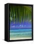 Palm Frond and Beach, Rangiroa Atoll, Tuamotu Archipelago, French Polynesia, South Pacific Islands-Sylvain Grandadam-Framed Stretched Canvas