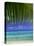 Palm Frond and Beach, Rangiroa Atoll, Tuamotu Archipelago, French Polynesia, South Pacific Islands-Sylvain Grandadam-Stretched Canvas