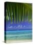 Palm Frond and Beach, Rangiroa Atoll, Tuamotu Archipelago, French Polynesia, South Pacific Islands-Sylvain Grandadam-Stretched Canvas