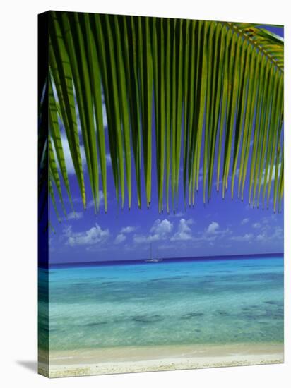 Palm Frond and Beach, Rangiroa Atoll, Tuamotu Archipelago, French Polynesia, South Pacific Islands-Sylvain Grandadam-Stretched Canvas