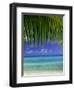 Palm Frond and Beach, Rangiroa Atoll, Tuamotu Archipelago, French Polynesia, South Pacific Islands-Sylvain Grandadam-Framed Photographic Print