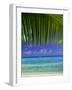 Palm Frond and Beach, Rangiroa Atoll, Tuamotu Archipelago, French Polynesia, South Pacific Islands-Sylvain Grandadam-Framed Photographic Print