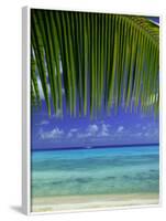Palm Frond and Beach, Rangiroa Atoll, Tuamotu Archipelago, French Polynesia, South Pacific Islands-Sylvain Grandadam-Framed Photographic Print
