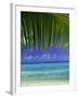 Palm Frond and Beach, Rangiroa Atoll, Tuamotu Archipelago, French Polynesia, South Pacific Islands-Sylvain Grandadam-Framed Photographic Print