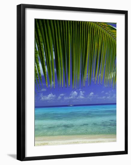 Palm Frond and Beach, Rangiroa Atoll, Tuamotu Archipelago, French Polynesia, South Pacific Islands-Sylvain Grandadam-Framed Photographic Print